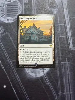 Northampton Farm Teenage Mutant Ninja Turtles Rare - Image 3