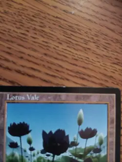 Lotus Vale Weatherlight 1997 Near Mint Mtg Magic The Gathering Illus. John Avon - Image 3