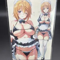 Charlotte Dunois Anime Waifu Card Doujin ACG Goddess Holo - Image 1