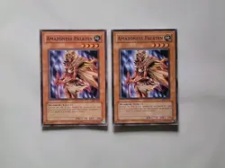 2x Amazoness Paladin - MFC-059 - Unlimited - YuGiOh-LP - Image 1