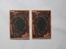 2x Amazoness Paladin - MFC-059 - Unlimited - YuGiOh-LP - Image 2