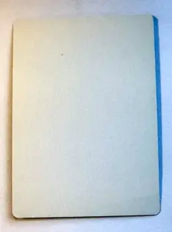 Jungle Basin blank artist proof MTG Visions artist John Avon SOLD AS IS - Image 2