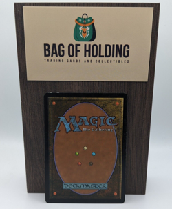 Radagast the Brown - FOIL - Lord of the Rings - NM - MTG - Image 2