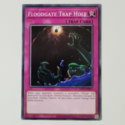 Floodgate Trap Hole - OP13-EN025 - LP/MP - Common - Unlimited - Yugioh - Image 1