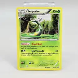 Pokemon Serperior 8/113 Legendary Treasures Rare Holo Card MP+ - Image 1
