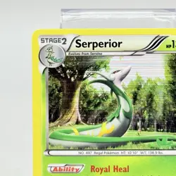 Pokemon Serperior 8/113 Legendary Treasures Rare Holo Card MP+ - Image 2