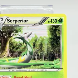 Pokemon Serperior 8/113 Legendary Treasures Rare Holo Card MP+ - Image 3