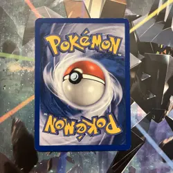 WINGULL - 77/109 - Ruby & Sapphire - Pokemon Card - NM - Image 2