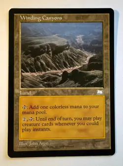 Winding Canyons blank artist proof MTG Weatherlight artist John Avon SOLD AS IS - Image 1