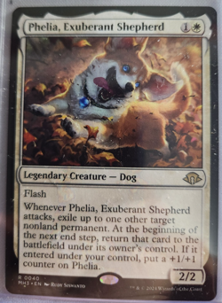 MTG - 2024 Modern Horizons 3 - Phelia, Exuberant Shepherd - Pack to Sleeve - Image 1