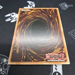 4-Starred Ladybug Of Doom YSYR-EN010 1st Edition LP Light Play Yu-Gi-Oh! Card - Image 5