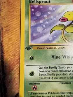 1st Edition Jungle Bellsprout 49/64 | Vintage WOTC Pokemon - Image 2