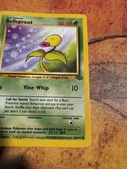1st Edition Jungle Bellsprout 49/64 | Vintage WOTC Pokemon - Image 4