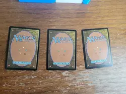 Magic The Gathering Card MTG 3x Japanese Alana Huntmaster Lorwyn Pauper Green - Image 2