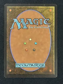 Forest (B) Foreign Black Border FBB Japanese Magic The Gathering MTG Card - Image 2