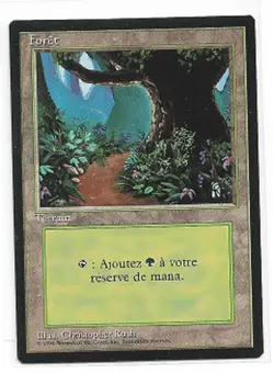 MTG magic cards 1x Forest (version B) - French Revised FBB Foreign Black Bordere - Image 1