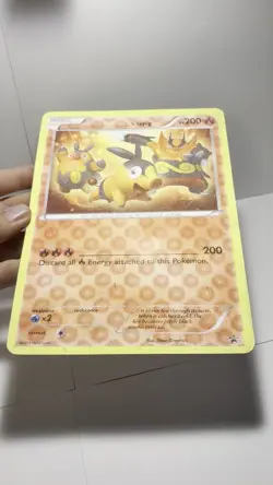 ______’s Tepig Promo Reverse Holofoil Jumbo Card 2011 - Lightly Played Condition - Image 2