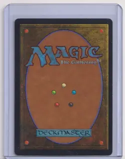 Magic: The Gathering Savannah Lions Revised Edition (Chinese) Black Border - Image 2