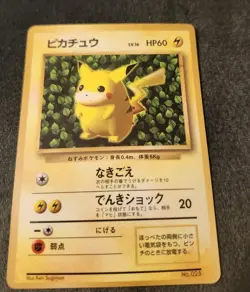 Ivy Pikachu Glossy Japanese CoroCoro Promo No 025 Pokemon Ken Sugimori Played - Image 2