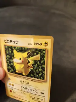 Ivy Pikachu Glossy Japanese CoroCoro Promo No 025 Pokemon Ken Sugimori Played - Image 4
