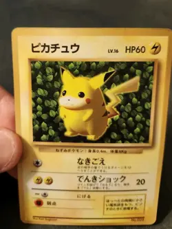 Ivy Pikachu Glossy Japanese CoroCoro Promo No 025 Pokemon Ken Sugimori Played - Image 5