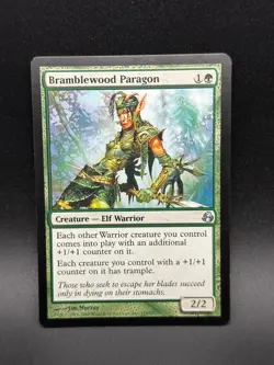 MTG Bramblewood Paragon U Morningtide #115 - Image 1