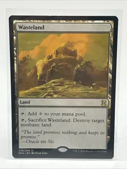 Magic: The Gathering Wasteland Eternal Masters Land Rare 248/249 English - Image 1