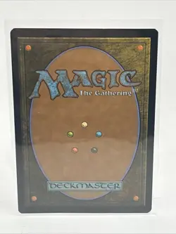 Magic: The Gathering Wasteland Eternal Masters Land Rare 248/249 English - Image 2