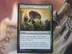 AMK, Embalmer's Tools x4 and Shed Weakness x4 4x LP NM - Image 3