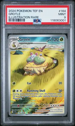 Grotle 164/162 PSA 9 - Pokemon Temporal Forces Illustration Rare 2024 MINT - Image 1