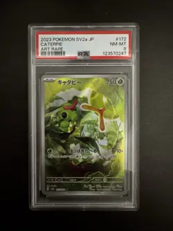 Pokemon Caterpie PSA8 Card 151 sv2a 172 JAPANESE 2023 ILLUSTRATION RARE - Image 2