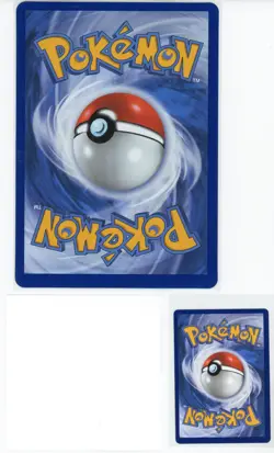 2025 Pokemon TCG Mega Venusaur ex 013 Black Star Jumbo Card Promo Card Sticker - Image 2