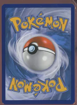 2016 POKEMON XY BLACK STAR PROMO SHINY MEGA GYARADOS #XY143 MAGIKARP NM - Image 2