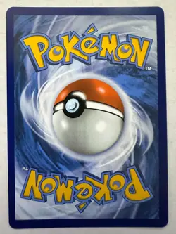 Pokemon Mega Evolution SHUCKLE 136/132 Illustration Rare Card MINT-NM - Image 2
