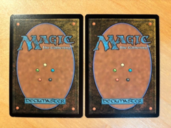 MTG Magic the Gathering 1x Herd Heirloom Borderless Tarkir Dragonstorm NM - Image 2