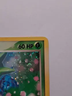 Roselia - Holo Rare - 9/97 - Ex Dragon - LP - Pokemon - Image 3