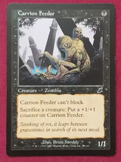 Magic The Gathering SCOURGE CARRION FEEDER black card MTG - Image 1