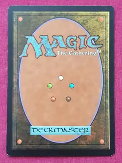 Magic The Gathering LORWYN BRIGID HERO OF KINSBAILE white card MTG - Image 2