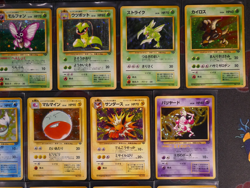 NM/MP Japanese COMPLETE Pokemon JUNGLE Set 16-Card Holo-Rare w/Foil Bleed 64 - Image 3
