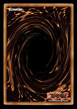 Castle Walls SDY-049 Common Yugioh Card - Image 2