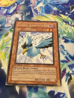 Yu-Gi-Oh! - Blackwing - Blizzard the far North RGBT-EN010 1st - NM - Image 1