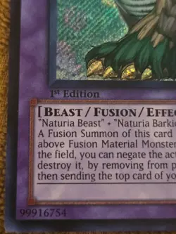 Yugioh Naturia Exterio HA04-EN055 1st Edition - Image 2