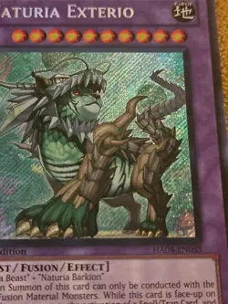 Yugioh Naturia Exterio HA04-EN055 1st Edition - Image 4