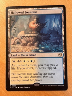 MTG Magic the Gathering Hallowed Fountain Lorwyn Eclipsed NM - Image 1