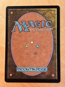 MTG Magic the Gathering Hallowed Fountain Lorwyn Eclipsed NM - Image 2