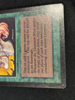 Llanowar Elves - Beta - Common - LP - MTG - Magic the Gathering - Green - Creatu - Image 2