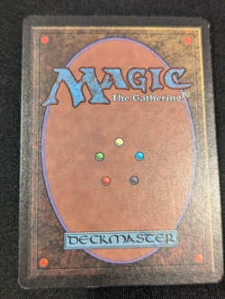 Llanowar Elves - Beta - Common - LP - MTG - Magic the Gathering - Green - Creatu - Image 4