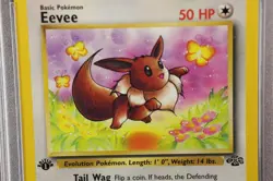 1999 Pokemon Eevee, 1st Edition Jungle #51/64, PSA 9 Mint - Image 5