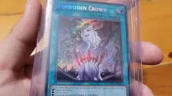 Yugioh Forbidden Crown Secret Rare Burst Protocol 1st Edition NM Free Shipping - Image 3