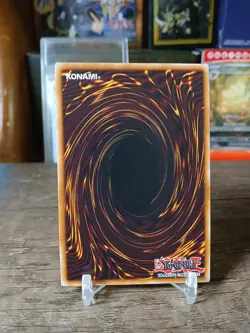 Yu-Gi- Oh! Illusion Gate - Maze of Muertos (Secret) NM 🔥 - Image 2